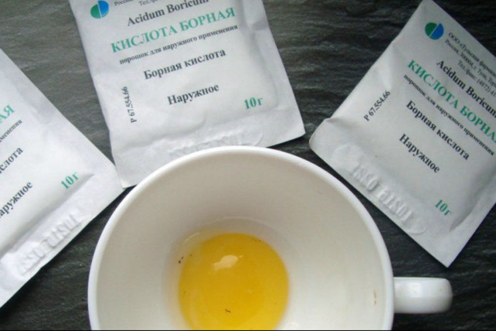 vejce a kyselina boritá pro mravence